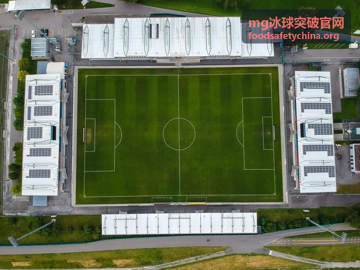 mg冰球突破官网入门档奖励图标