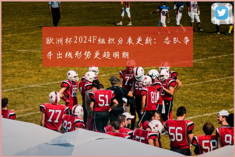 欧洲杯2024F组积分表更新：各队争夺出线形势更趋明朗