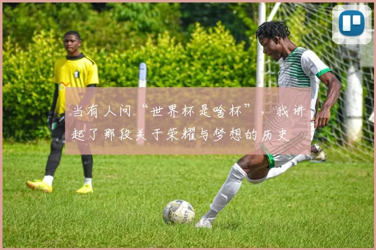 当有人问“世界杯是啥杯”，我讲起了那段关于荣耀与梦想的历史